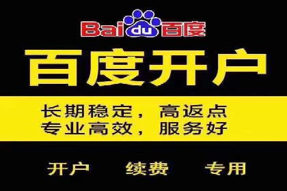 Sem优化公司案例：优化方案定制服务